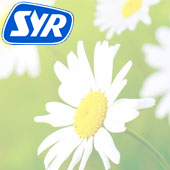 SYR Air Fresheners & Dispensers