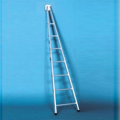 Ramsay Window Cleaning Point Ladder - Single Frame
