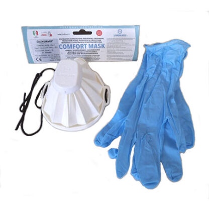 Prochem Micro-Mist Machine - Mask and Gloves